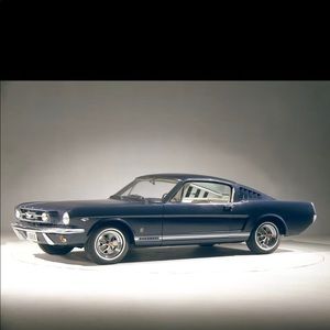 Meet your Posher, Harrison